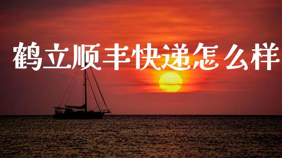 鹤立顺丰快递怎么样_https://www.lcjysmgs.com_德指行情直播_第1张
