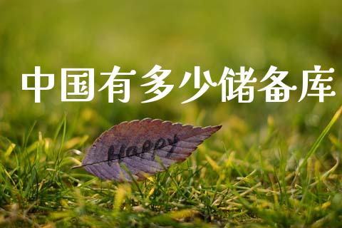 中国有多少储备库_https://www.lcjysmgs.com_德指行情直播_第1张