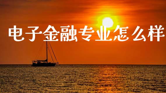 电子金融专业怎么样_https://www.lcjysmgs.com_恒生指数直播_第1张
