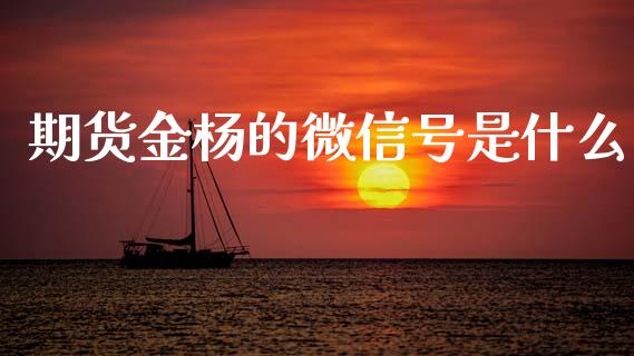 期货金杨的微信号是什么_https://www.lcjysmgs.com_黄金期货直播喊单_第1张