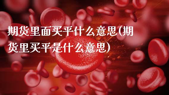 期货里面买平什么意思(期货里买平是什么意思)_https://www.lcjysmgs.com_恒生指数直播_第1张