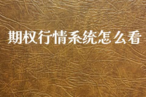 期权行情系统怎么看_https://www.lcjysmgs.com_恒生指数直播_第1张