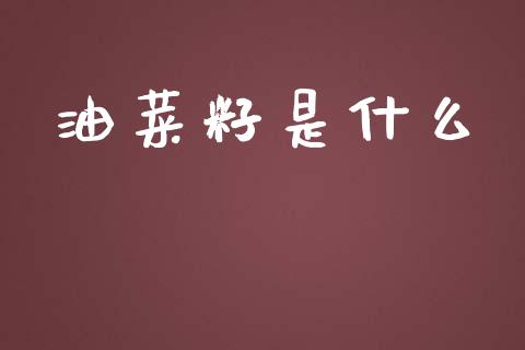油菜籽是什么_https://www.lcjysmgs.com_恒指直播平台_第1张