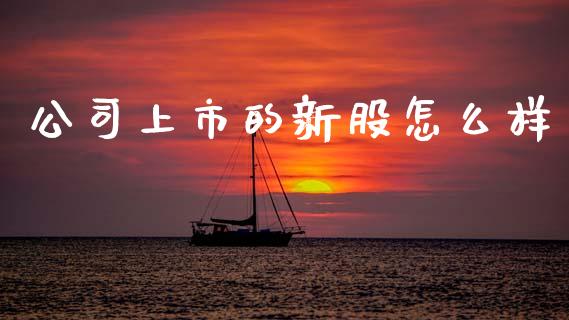 公司上市的新股怎么样_https://www.lcjysmgs.com_德指行情直播_第1张