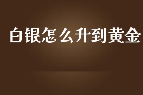 白银怎么升到黄金_https://www.lcjysmgs.com_德指行情直播_第1张