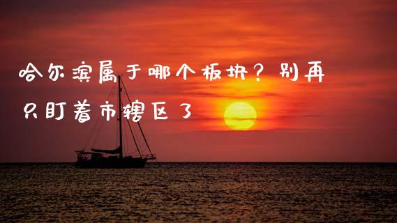 哈尔滨属于哪个板块？别再只盯着市辖区了_https://www.lcjysmgs.com_恒指直播平台_第1张