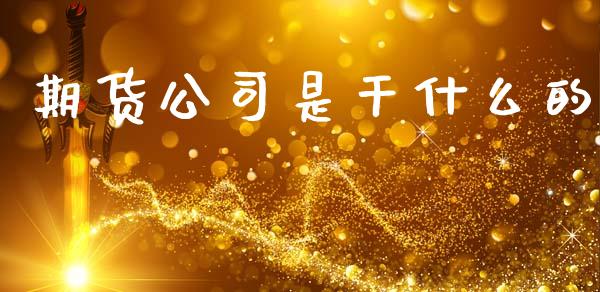 期货公司是干什么的_https://www.lcjysmgs.com_黄金期货直播喊单_第1张