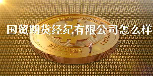 国贸期货经纪有限公司怎么样_https://www.lcjysmgs.com_德指行情直播_第1张