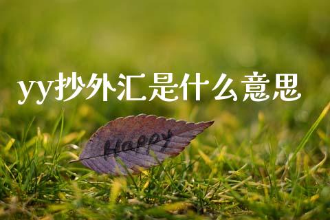 yy抄外汇是什么意思_https://www.lcjysmgs.com_恒指直播平台_第1张