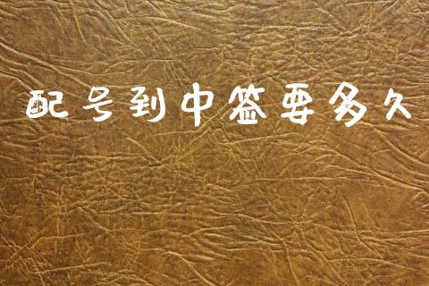 配号到中签要多久_https://www.lcjysmgs.com_恒生指数直播_第1张