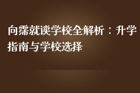 向霈就读学校全解析：升学指南与学校选择_https://www.lcjysmgs.com_黄金期货直播喊单_第1张