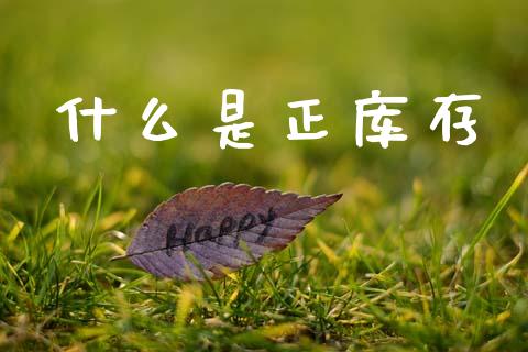 什么是正库存_https://www.lcjysmgs.com_德指行情直播_第1张