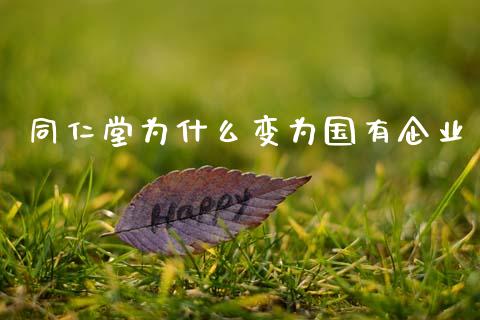 同仁堂为什么变为国有企业_https://www.lcjysmgs.com_恒生指数直播_第1张