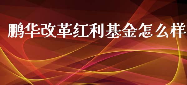 鹏华改革红利基金怎么样_https://www.lcjysmgs.com_恒生指数直播_第1张