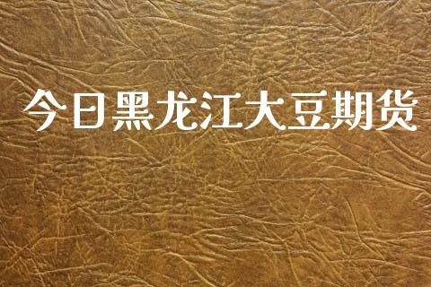 今日黑龙江大豆期货_https://www.lcjysmgs.com_恒指直播平台_第1张