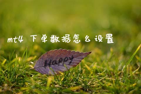 mt4 下单数据怎么设置_https://www.lcjysmgs.com_德指行情直播_第1张