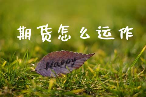 期货怎么运作_https://www.lcjysmgs.com_黄金期货直播喊单_第1张