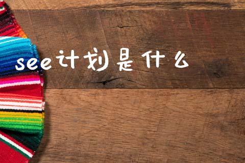 see计划是什么_https://www.lcjysmgs.com_德指行情直播_第1张