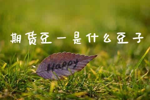 期货豆一是什么豆子_https://www.lcjysmgs.com_德指行情直播_第1张