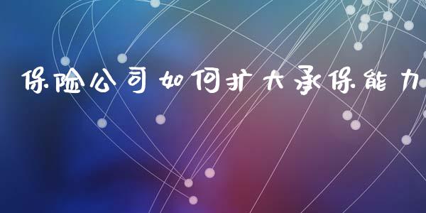 保险公司如何扩大承保能力_https://www.lcjysmgs.com_黄金期货直播喊单_第1张