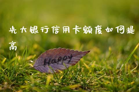 光大银行信用卡额度如何提高_https://www.lcjysmgs.com_德指行情直播_第1张