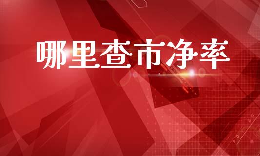 哪里查市净率_https://www.lcjysmgs.com_黄金期货直播喊单_第1张