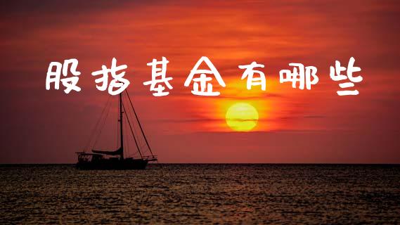 股指基金有哪些_https://www.lcjysmgs.com_黄金期货直播喊单_第1张