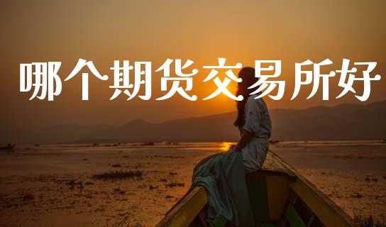 哪个期货交易所好_https://www.lcjysmgs.com_黄金期货直播喊单_第1张