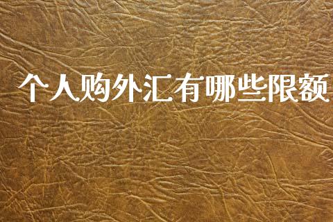 个人购外汇有哪些限额_https://www.lcjysmgs.com_德指行情直播_第1张