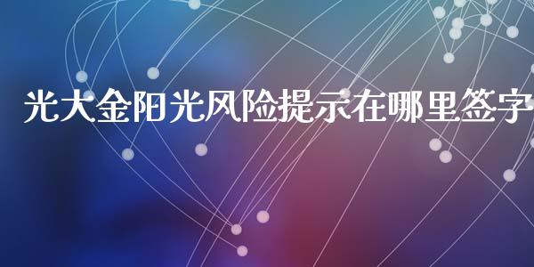 光大金阳光风险提示在哪里签字_https://www.lcjysmgs.com_黄金期货直播喊单_第1张