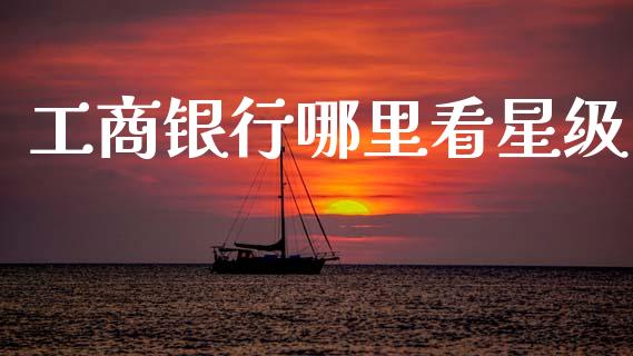 工商银行哪里看星级_https://www.lcjysmgs.com_黄金期货直播喊单_第1张