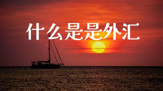 什么是是外汇_https://www.lcjysmgs.com_恒指直播平台_第1张