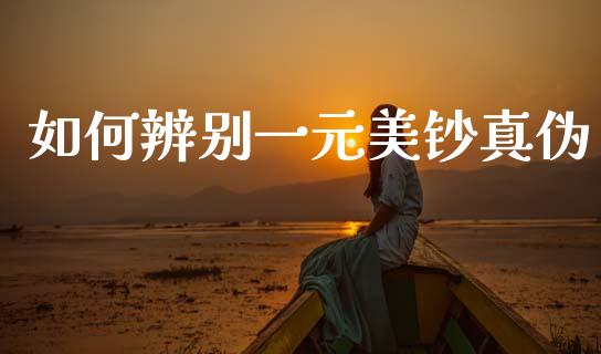 如何辨别一元美钞真伪_https://www.lcjysmgs.com_恒指直播平台_第1张