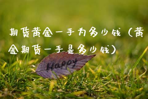 期货黄金一手为多少钱（黄金期货一手是多少钱）_https://www.lcjysmgs.com_恒指直播平台_第1张