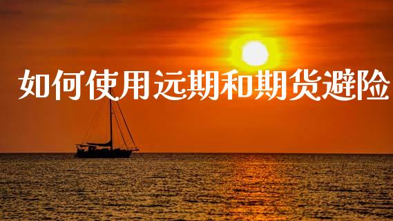 如何使用远期和期货避险_https://www.lcjysmgs.com_德指行情直播_第1张