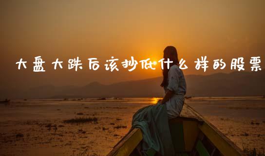 大盘大跌后该抄低什么样的股票_https://www.lcjysmgs.com_恒指直播平台_第1张