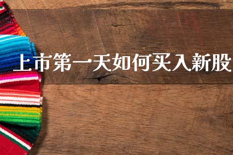 上市第一天如何买入新股_https://www.lcjysmgs.com_德指行情直播_第1张