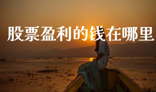 股票盈利的钱在哪里_https://www.lcjysmgs.com_德指行情直播_第1张