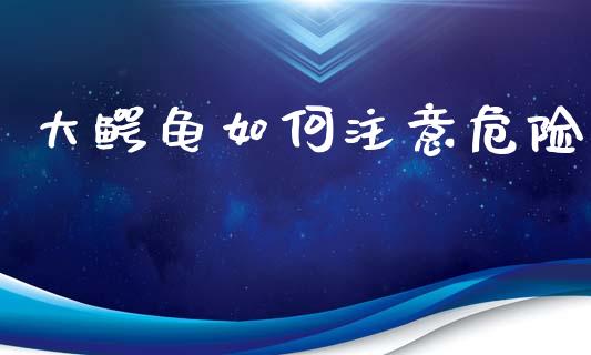 大鳄龟如何注意危险_https://www.lcjysmgs.com_恒生指数直播_第1张
