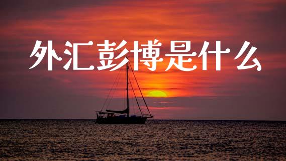 外汇彭博是什么_https://www.lcjysmgs.com_黄金期货直播喊单_第1张