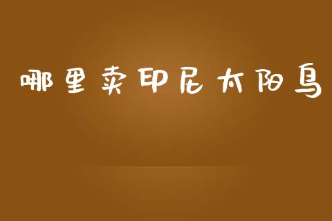 哪里卖印尼太阳鸟_https://www.lcjysmgs.com_恒指直播平台_第1张