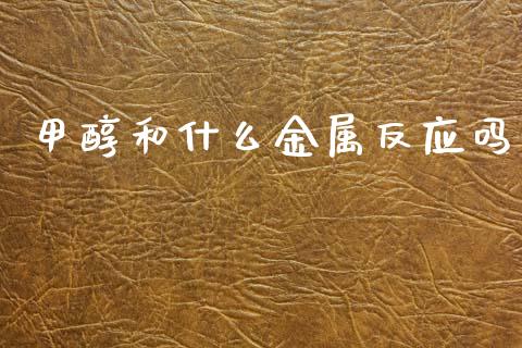 甲醇和什么金属反应吗_https://www.lcjysmgs.com_恒指直播平台_第1张