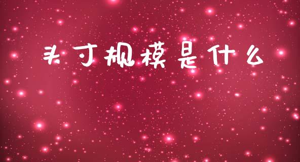 头寸规模是什么_https://www.lcjysmgs.com_黄金期货直播喊单_第1张