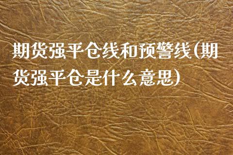 期货强平仓线和预警线(期货强平仓是什么意思)_https://www.lcjysmgs.com_德指行情直播_第1张