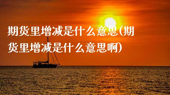 期货里增减是什么意思(期货里增减是什么意思啊)_https://www.lcjysmgs.com_黄金期货直播喊单_第1张