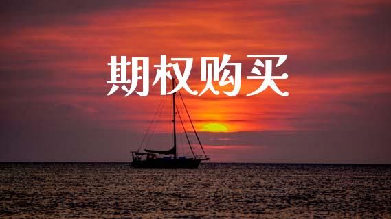 期权购买_https://www.lcjysmgs.com_恒生指数直播_第1张