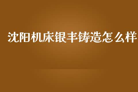 沈阳机床银丰铸造怎么样_https://www.lcjysmgs.com_恒生指数直播_第1张