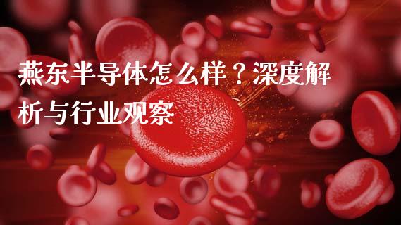 燕东半导体怎么样？深度解析与行业观察_https://www.lcjysmgs.com_黄金期货直播喊单_第1张