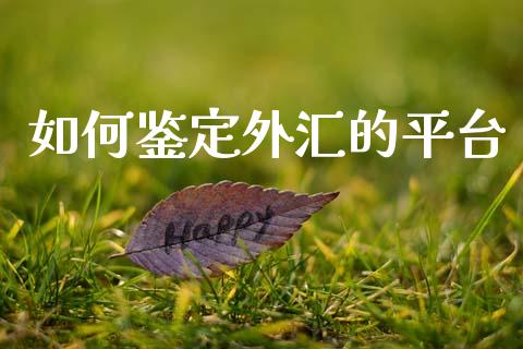 如何鉴定外汇的平台_https://www.lcjysmgs.com_恒生指数直播_第1张