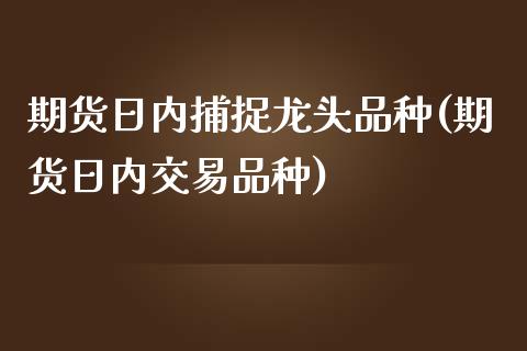 期货日内捕捉龙头品种(期货日内交易品种)_https://www.lcjysmgs.com_恒生指数直播_第1张